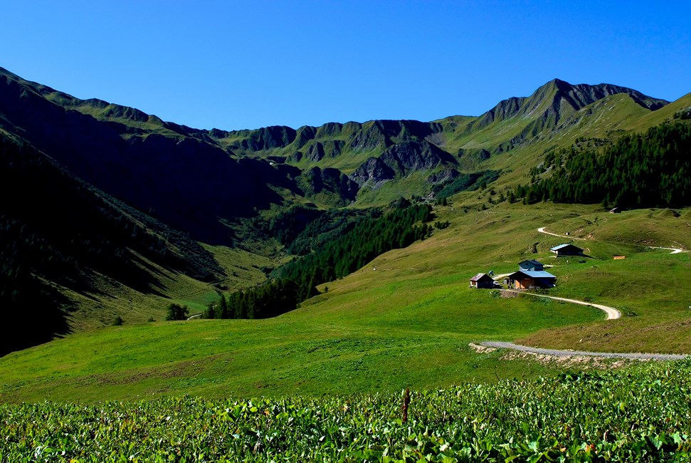 La Plagne Montalbert